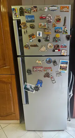 Haier 300L Refrigerator