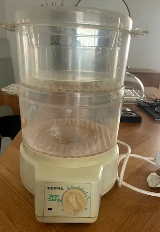 Electric steamer