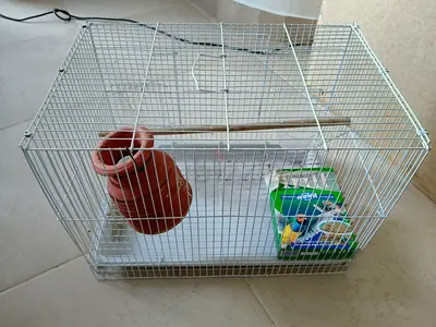 birds cage for sale