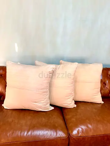 Set of 3 Elegant Throw Pillows 65X65 includes covers