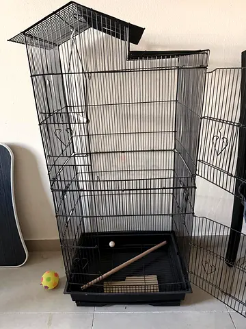 BIRD CAGE