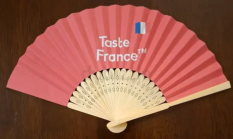 Hand Fan مروحة يدوية