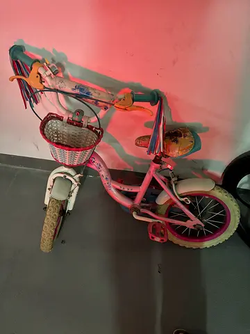 Bicycle kids