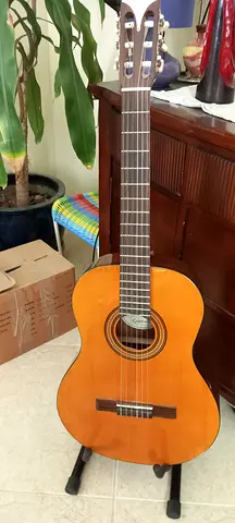 Intermediate guitars classica