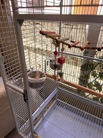 Big birds cage
