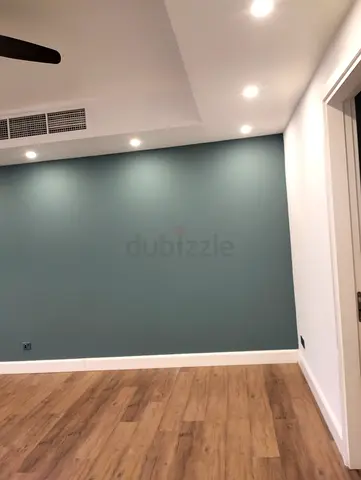 Wall painter