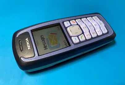 Nokia 3100
