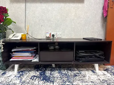 Stylish Wooden TV Unit with Storage