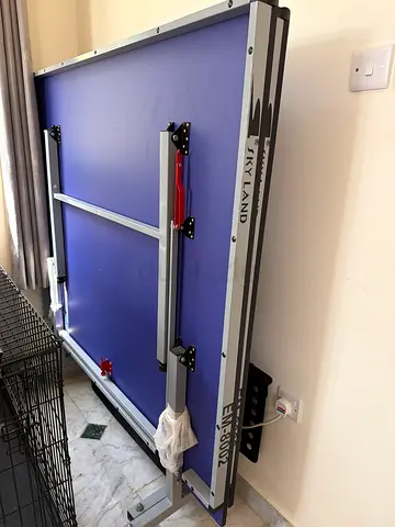 Sky Land Table Tennis Table for Sale