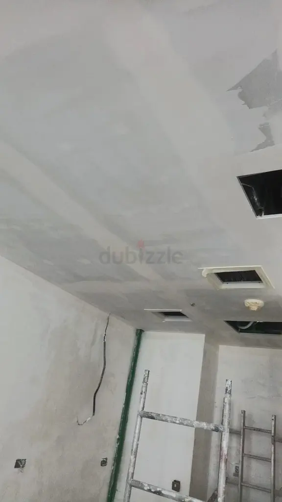 DPV_View_Image_2
