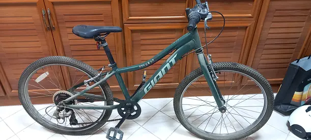 Giant Mountain Bike for Sale - Reliable Ride