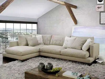 Camerich L shape sofa