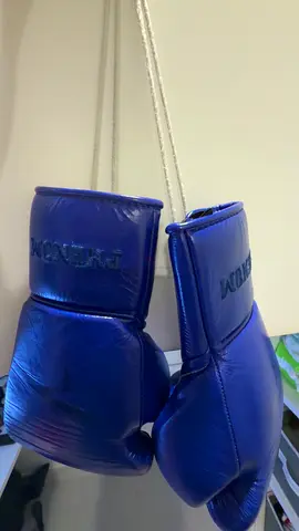 Phenom boxing gloves