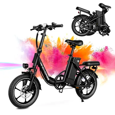 Wind Horse W2 B Electric Bike, Black