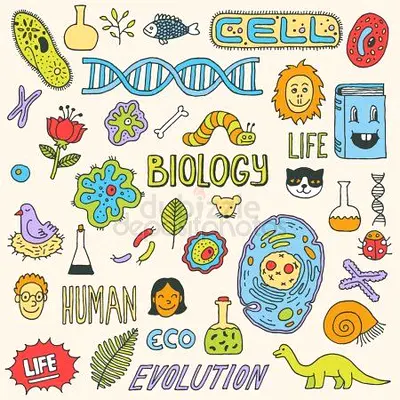 Science  Biology Tutor - All Curriculums