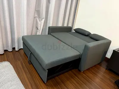 Brand New Two Seatr Comfortable Sofa Bed with Modern Design