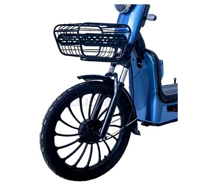 Wind Horse M3 Electric Bike