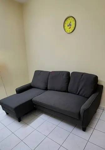 Comfortable Grey Sofa  cum bed with in very good condtition
