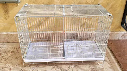 Breeding cage for bird
