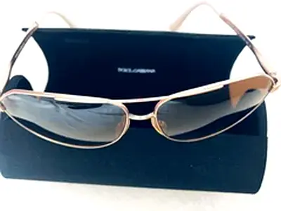 Elegant Womens Sunglasses with case