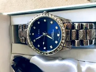 Elegant Steel and Blue Watch