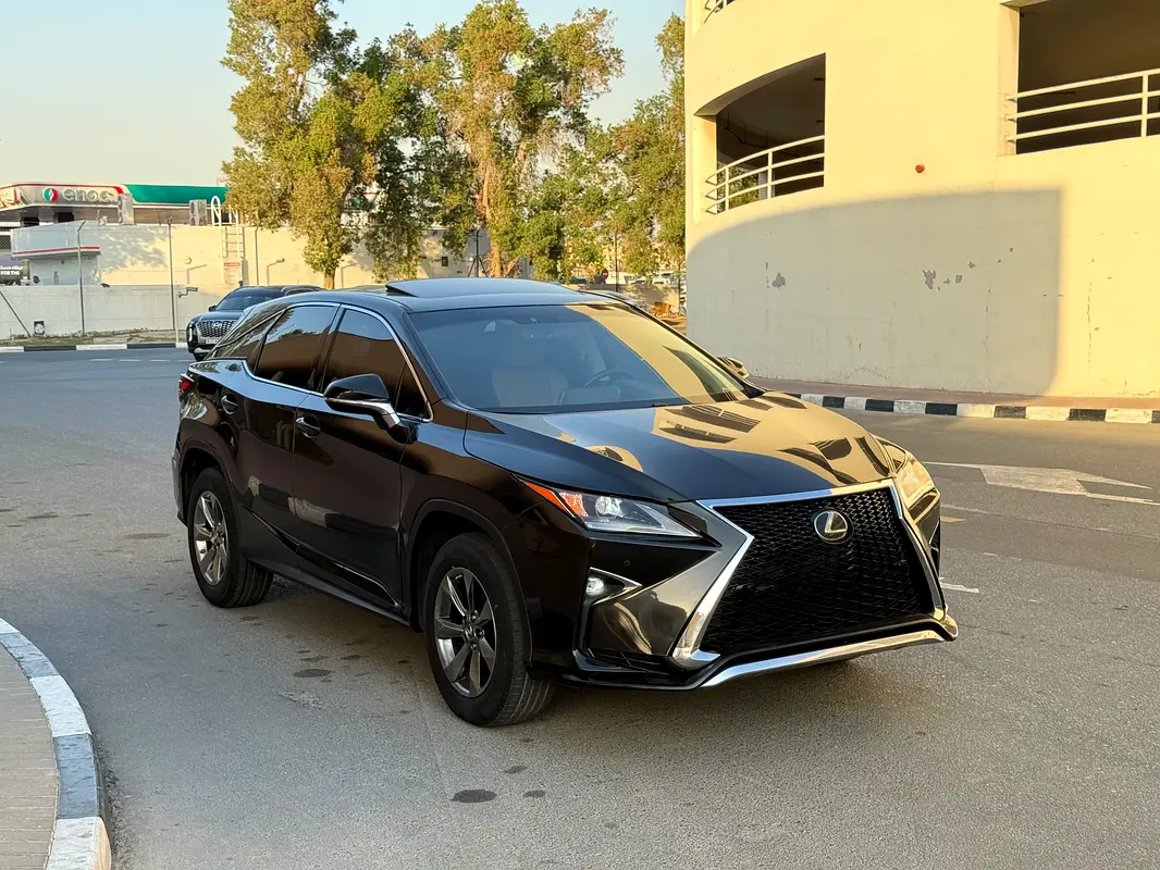 Lexus RX-Series 2019 — photo 1 of 20