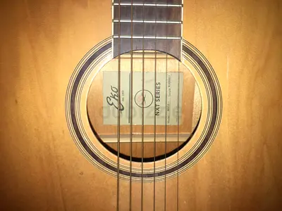 accoustic guitar beginner friendly