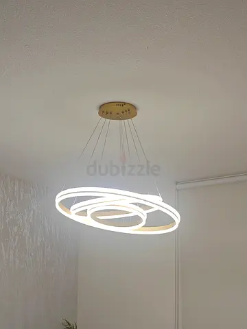 Modern LED Ceiling Light Fixture