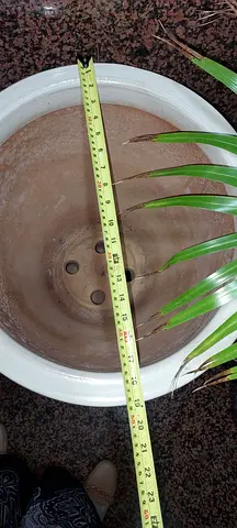 Decorative Flower and Plant Pots