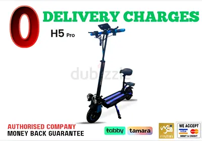 Wind Horse Electric Bike