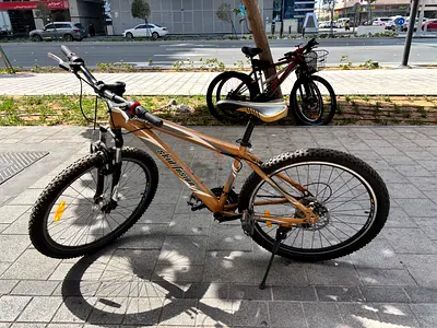 Mountain Bicycle for Sale - Great Condition with air pump