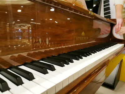 Steiner Grand Piano