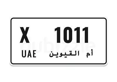 X1011