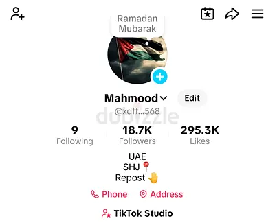 TIKTOK ACCOUNT FOR SALE