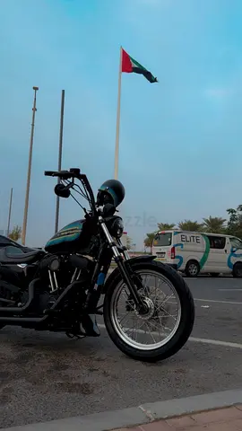 Harley sportser 1200 2019