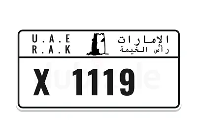 RAK X 1119