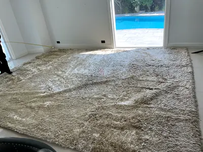 Luxurious Plush Rug/Carpet for Sale