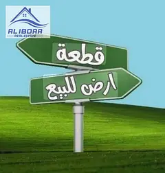 Land for Sale in Al Manama – Basin 14 – Ajman  Good Location  Direct from Owner
