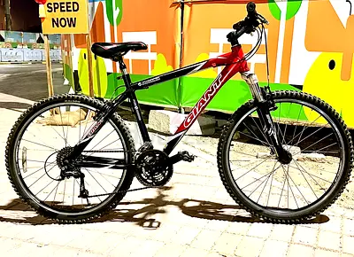Giant Mountain Bike 26er