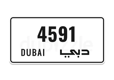 4-5-91     ( check detail )