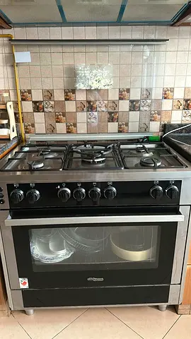 Stainless Steel Oven and Cooker