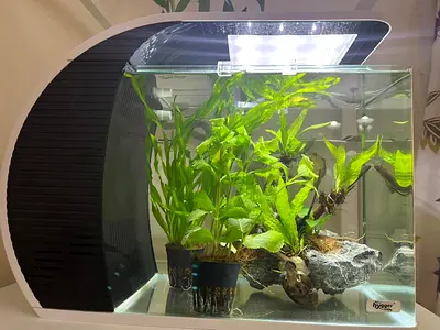 Hygger Aquarium with LED Light  Plants – Excellent Condition