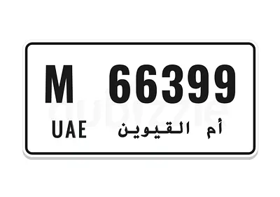 369  66399 number plate