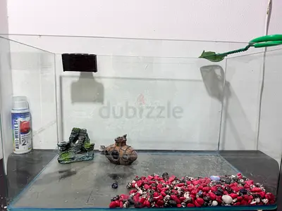 Aquarium with accessories