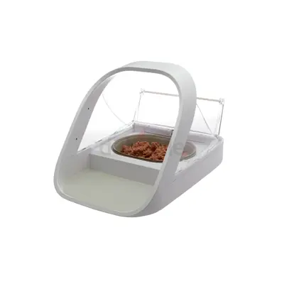 Automatic Pet Feeder for Cats