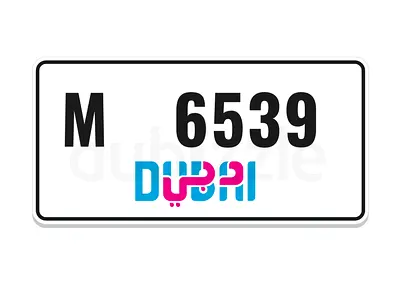 6 53 9.     ( check detail )