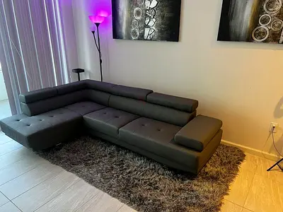 Modern L-Shaped Sofa with Rug