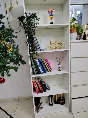 Cabinet shelves