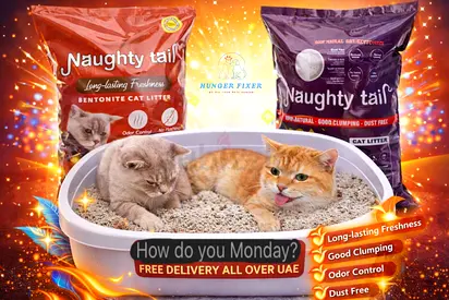 Naughty Taily Cat Litter for Long-Lasting Freshness