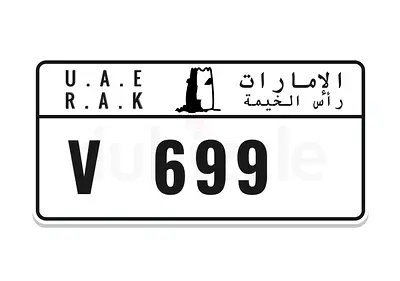 ( V 669 )  both numbers  590k only Rak plates